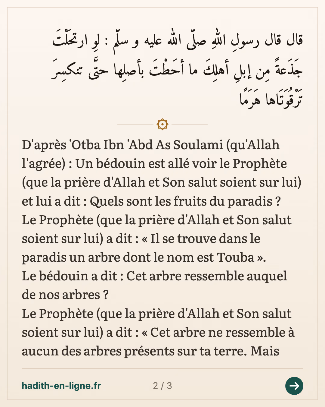 Il se trouve dans le paradis un arbre dont le nom est Touba — (Rapporté par Ibn Hibban dans son Sahih n°7414 et authentifié par Cheikh Albani dans Al Ta'liqat Al Hissan 'Ala Sahih Ibn Hibban n°7371) — carte 2 sur 3