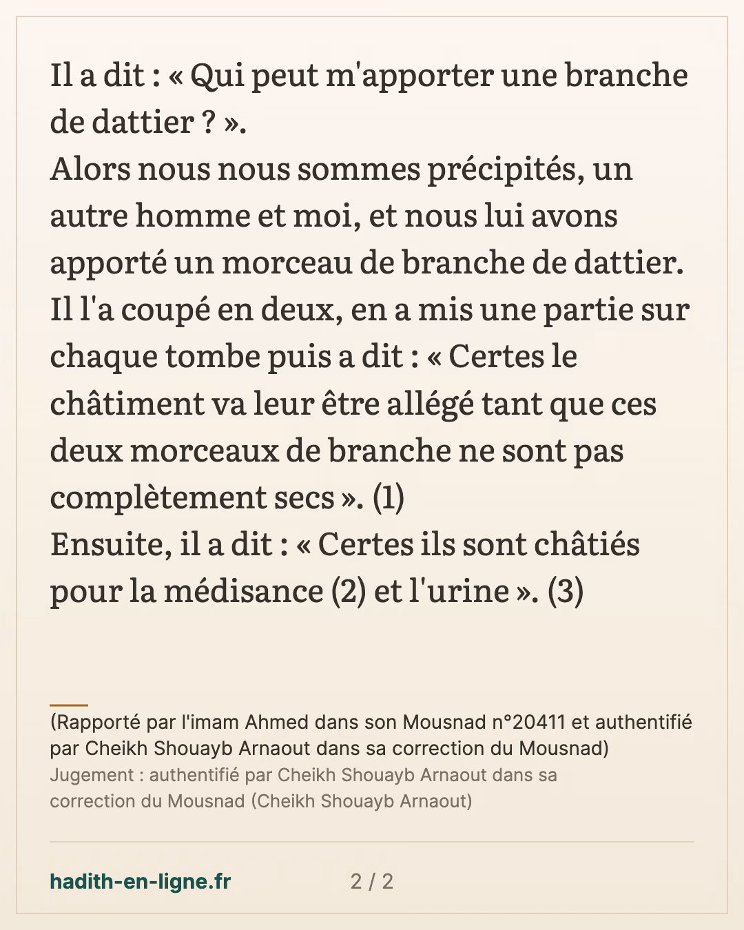 Certes ils sont châtiés pour la médisance et l'urine — (Rapporté par l'imam Ahmed dans son Mousnad n°20411 et authentifié par Cheikh Shouayb Arnaout dans sa correction du Mousnad) — carte 2 sur 2