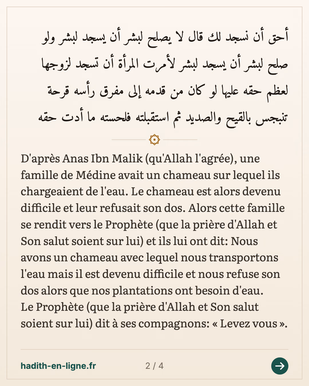 Une famille de Médine avait un chameau sur lequel ils chargeaient de l'eau — (Rapporté par Ahmed et Nasai et authentifié par cheikh Albani dans Sahih Al Jami n°7725) — carte 2 sur 4
