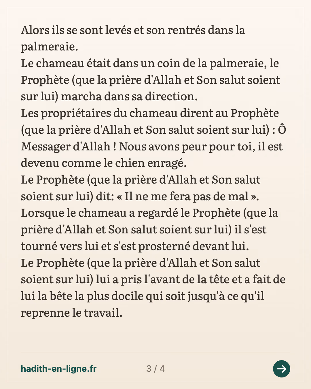 Une famille de Médine avait un chameau sur lequel ils chargeaient de l'eau — (Rapporté par Ahmed et Nasai et authentifié par cheikh Albani dans Sahih Al Jami n°7725) — carte 3 sur 4