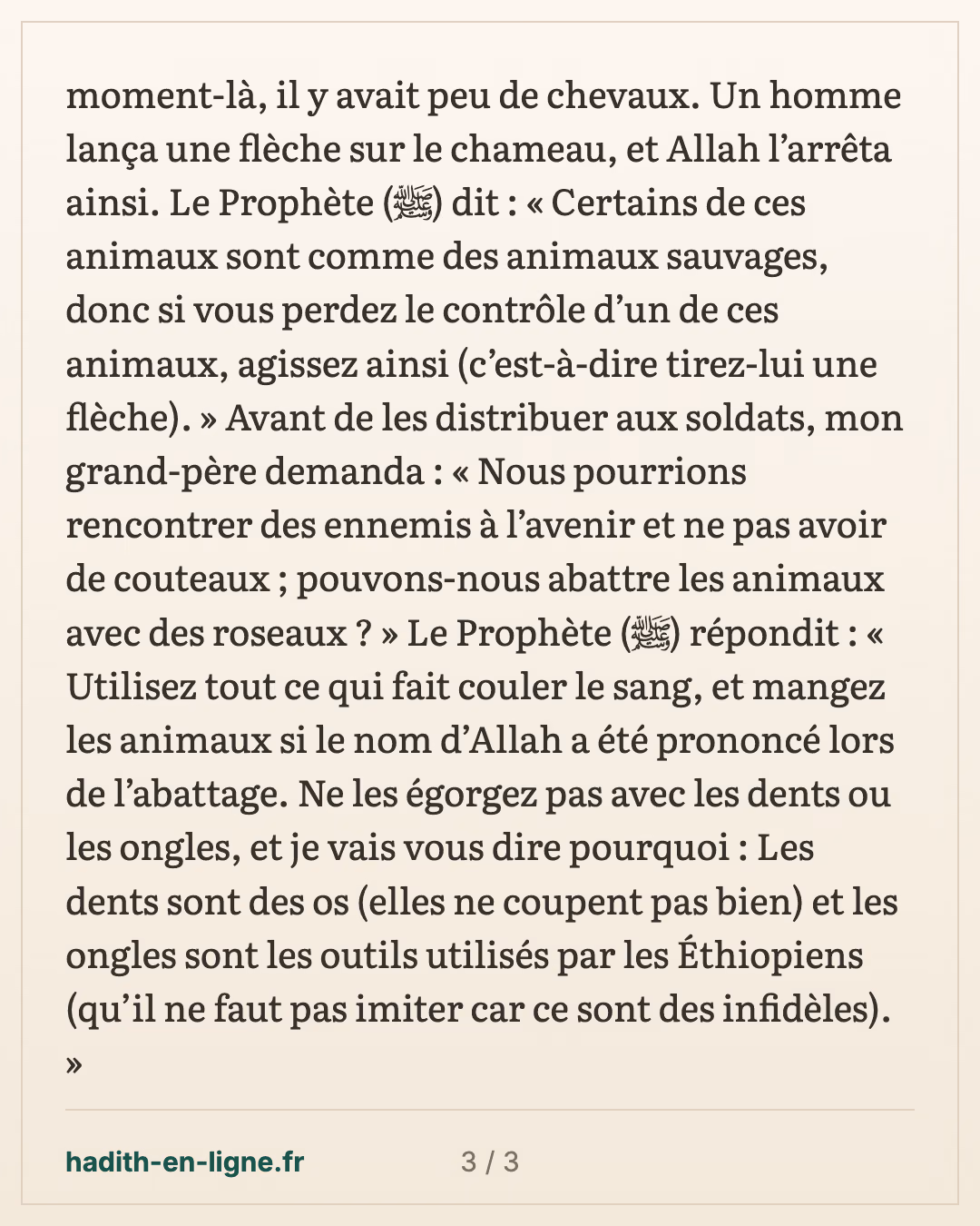 Le butin de Dhoul-Houlayfa : la viande cuite dans les marmites avant le partage — carte 3 sur 3