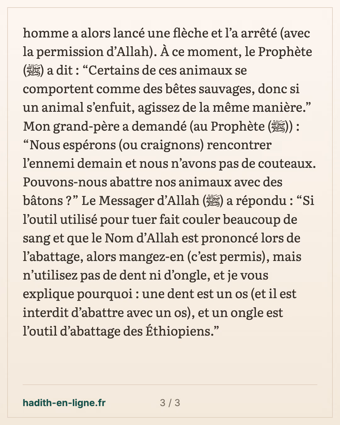 Dhoul-Houlayfa : les chameaux et les moutons du butin égorgés avant le partage — carte 3 sur 3