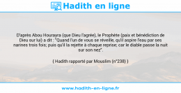 Une image avec le hadith : D'après Abou Hourayra (que Dieu l'agrée), le Prophète (paix et bénédiction de Dieu sur lui) a dit : "Quand l'un de vous se réveille, qu'il aspire l'eau par ses narines trois fois; puis qu'il la rejette à chaque reprise; car le diable passe la nuit sur son nez". Hadith rapporté par Mouslim (n°238)