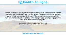 Une image avec le hadith : D'après Jâbir (que Dieu l'agrée), l'Envoyé de Dieu (paix et bénédiction de Dieu sur lui) interdit de manger de l'oignon ou du poireau; pourtant nous fûmes pousser par le besoin à en manger. Il dit alors : "Quiconque mange de cette plante malodorante ne doit pas se rendre à notre mosquée; car les anges répugnent de ce que les êtres humains répugnent". Hadith rapporté par Mouslim (n°564)