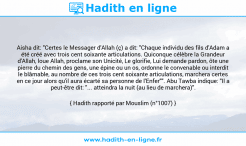 Une image avec le hadith : Aisha dit: "Certes le Messager d'Allah (ç) a dit: "Chaque individu des fils d'Adam a été créé avec trois cent soixante articulations. Quiconque célèbre la Grandeur d'Allah, loue Allah, proclame son Unicité, Le glorifie, Lui demande pardon, ôte une pierre du chemin des gens, une épine ou un os, ordonne le convenable ou interdit le blâmable, au nombre de ces trois cent soixante articulations, marchera certes en ce jour alors qu'il aura écarté sa personne de l'Enfer"". Abu Tawba indique: "Il a peut-être dit: "... atteindra la nuit (au lieu de marchera)". Hadith rapporté par Mouslim (n°1007)