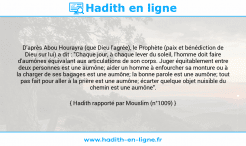 Une image avec le hadith : D'après Abou Hourayra (que Dieu l'agrée), le Prophète (paix et bénédiction de Dieu sur lui) a dit : "Chaque jour, à chaque lever du soleil, l'homme doit faire d'aumônes équivalant aux articulations de son corps. Juger équitablement entre deux personnes est une aumône; aider un homme à enfourcher sa monture ou à la charger de ses bagages est une aumône; la bonne parole est une aumône; tout pas fait pour aller à la prière est une aumône; écarter quelque objet nuisible du chemin est une aumône". Hadith rapporté par Mouslim (n°1009)