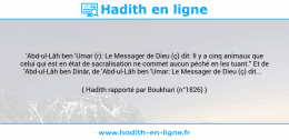 Une image avec le hadith : 'Abd-ul-Lâh ben 'Umar (r): Le Messager de Dieu (ç) dit: Il y a cinq animaux que celui qui est en état de sacralisation ne commet aucun péché en les tuant." Et de 'Abd-ul-Lâh ben Dinâr, de 'Abd-ul-Lâh ben 'Umar: Le Messager de Dieu (ç) dit... Hadith rapporté par Boukhari (n°1826)