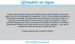 Une image avec le hadith : D’après Anas (qu’Allah l’agrée), le Prophète (que la prière d’Allah et Son salut soient sur lui) a été interrogé sur le kawthar, il a dit: « C’est un fleuve qu’Allah m’a donné dans le paradis, il est plus blanc que le lait, plus sucré que le miel, il y a près de lui un oiseau dont le cou est comme celui d’un chameau ». Omar (qu’Allah l’agrée) a dit: Certes cet oiseau est comblé de bienfaits. Le Prophète (que la prière d’Allah et Son salut soient sur lui) a alors répondu: « Ceux qui en mangeront seront encore plus comblé que cela ». Hadith rapporté par Tirmidhi (n°2542)