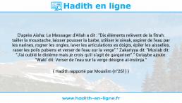 Une image avec le hadith : D'après Aisha: Le Messager d'Allah a dit : "Dix éléments relèvent de la fitrah: tailler la moustache, laisser pousser la barbe, utiliser le siwak, aspirer de l'eau par les narines, rogner les ongles, laver les articulations es doigts, épiler les aisselles, raser les poils pubiens et verser de l'eau sur la verge"." Zakariyya dit: "Mus'ab dit: "J'ai oublié le dixième mais je crois qu'il s'agit de gargariser"." Qutaybe ajoute: "Waki' dit: Verser de l'eau sur la verge désigne al-instinja." Hadith rapporté par Mouslim (n°261)