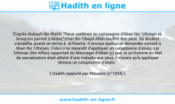 Une image avec le hadith : D'après Nubayh Ibn Wahb: "Nous sortîmes en compagnie d'Aban Ibn 'Uthman et, lorsqu'on parvint à Malal,'Umar Ibn 'Ubayd Allah souffrit des yeux. Sa douleur s'amplifia quand on arriva à al-Rawha. Il envoya quelqu'un demander conseil à Aban Ibn 'Uthman. Celui-ci lui répondit d'appliquer un cataplasme d'aloès, car 'Uthman (Ibn Affan) rapportait du Messager d'Allah (ç) que, si un homme en état de sacralisation était atteint d'une maladie aux yeux, il n'avais qu'à appliquer dessus un cataplasme d'aloès." Hadith rapporté par Mouslim (n°1204)