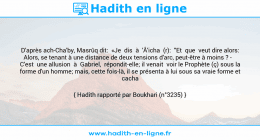 Une image avec le hadith : D'après ach-Cha'by, Masrûq dit: «Je dis à 'Â'icha (r): "Et que veut dire alors: Alors, se tenant à une distance de deux tensions d'arc, peut-être à moins ? - C'est une allusion à Gabriel, répondit-elle; il venait voir le Prophète (ç) sous la forme d'un homme; mais, cette fois-là, il se présenta à lui sous sa vraie forme et cacha l'horizon."» Hadith rapporté par Boukhari (n°3235)