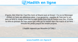 Une image avec le hadith : D'après Abd Allah Ibn Zayd Ibn Asim al Mazini puis al Ansari : Il a vu Le Messager d'Allah (ç) faire ses ablutions ainsi : il se gargarisa , expulsa de l'eau par le nez puis se lava le visage trois fois la main droite trois fois et l'autre trois fois. Il frotta sa tête en prenant de l'eau autre que celle qui lui restait dans les mains et se lava ensuite les pieds jusqu'à les rendre propres. Hadith rapporté par Mouslim (n°236)