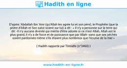 Une image avec le hadith : D’après ‘Abdallah Ibn ‘Amr (qu’Allah les agrée lui et son père), le Prophète (que la prière d’Allah et Son salut soient sur lui) a dit : « Il n’y a personne sur la terre qui dit: -Il n’y aucune divinité qui mérite d’être adorée si ce n’est Allah, Allah est le plus grand, Il n’y a de force et de puissance que par Allah- sans que ses péchés soient pardonnés même s’ils étaient plus nombreux que l’écume de la mer » Hadith rapporté par Tirmidhi (n°3460)