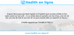 Une image avec le hadith : D'après Mou'awiya (qu'Allah l'agrée), le Prophète (que la prière d'Allah et Son salut soient sur lui) a dit: « Il y a certes dans le paradis une mer d'eau, une mer de lait, une mer de miel et une mer de vin puis ensuite elles se séparent en fleuve ». Hadith rapporté par Tirmidhi (n°2571)