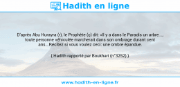 Une image avec le hadith : D'après Abu Hurayra (r), le Prophète (ç) dit: «Il y a dans le Paradis un arbre..., toute personne véhiculée marcherait dans son ombrage durant cent ans...Récitez si vous voulez ceci: une ombre épandue. Hadith rapporté par Boukhari (n°3252)