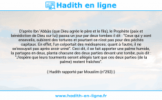 Une image avec le hadith : D'après Ibn 'Abbâs (que Dieu agrée le père et le fils), le Prophète (paix et bénédiction de Dieu sur lui) passa un jour par deux tombes il dit : "Ceux qui y sont ensevelis, subirent des tortures et pourtant ce n'est pas pour des péchés capitaux. En effet, l'un colportait des médisances; quant à l'autre, il ne se'essuyait pas après avoir uriné". Ceci dit, il se fait apporter une palme humide, la partagea en deux, planta chacune des deux parties devant une tombe, puis dit : "J'espère que leurs tourments seront allégés tant que ces deux parties (de la palme) restent fraîches". Hadith rapporté par Mouslim (n°292)
