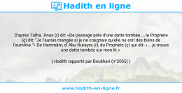 Une image avec le hadith : D'après Talha, 'Anas (r) dit: «De passage près d'une datte tombée..., le Prophète (ç) dit: "Je l'aurais mangée si je ne craignais qu'elle ne soit des biens de l'aumône."» De Hammâm, d' Abu Hurayra (r), du Prophète (ç) qui dit: «... je trouve une datte tombée sur mon lit.» Hadith rapporté par Boukhari (n°2055)