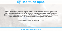 Une image avec le hadith : Jubayr Ibn Mut'im (que Dieu l'agrée) a dit : L'un de mes chameaux s'égara; j'allai donc à sa recherche le jour de Je vis alors le Prophète (paix et bénédiction de Dieu sur lui) debout parmi les gens à 'Arafa. Je dis : "Par Dieu, c'est un des Hums. Que fait-il donc là?". Les Qoraychites faisaient partie des "Hums". Hadith rapporté par Mouslim (n°1220)
