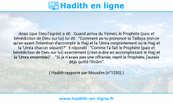 Une image avec le hadith : Anas (que Dieu l'agrée) a dit : Quand arriva du Yémen, le Prophète (paix et bénédiction de Dieu sur lui) lui dit : "Comment as-tu prononcé la Talbiya (est-ce qu'en ayant l'intention d'accomplir le Hajj et la 'Umra conjointement ou le Hajj et la 'Umra chacun séparé)?". Il répondit : "Comme l'a fait le Prophète (paix et bénédiction de Dieu sur lui) exactement (c'est-à-dire en accomplissant le Hajj et la 'Umra ensemble)". - "Si je n'avais pas une offrande, reprit le Prophète, j'aurais déjà quitté l'ihrâm". Hadith rapporté par Mouslim (n°1250)