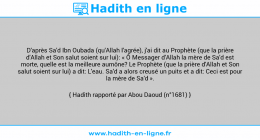 Une image avec le hadith : D'après Sa'd Ibn Oubada (qu'Allah l'agrée), j'ai dit au Prophète (que la prière d'Allah et Son salut soient sur lui): « Ô Messager d'Allah la mère de Sa'd est morte, quelle est la meilleure aumône? Le Prophète (que la prière d'Allah et Son salut soient sur lui) a dit: L'eau. Sa'd a alors creusé un puits et a dit: Ceci est pour la mère de Sa'd ». Hadith rapporté par Abou Daoud (n°1681)