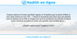 Une image avec le hadith : D'après Salman Al Farisi (qu'Allah l'agrée), le Prophète (que la prière d'Allah et Son salut soient sur lui) a dit: « Certes le musulman prie alors que ses péchés sont au dessus de sa tête, à chaque fois qu'il se prosterne ses péchés tombent ainsi il termine sa prière et certes ses péchés sont tombés de lui ». Hadith rapporté par Targhib (n°362)
