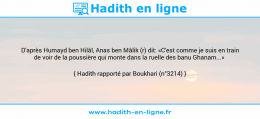 Une image avec le hadith : D'après Humayd ben Hilâl, Anas ben Mâlik (r) dit: «C'est comme je suis en train de voir de la poussière qui monte dans la ruelle des banu Ghanam...» Hadith rapporté par Boukhari (n°3214)