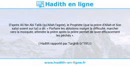 Une image avec le hadith : D'après Ali Ibn Abi Talib (qu'Allah l'agrée), le Prophète (que la prière d'Allah et Son salut soient sur lui) a dit: « Parfaire les ablutions malgré la difficulté, marcher vers la mosquée, attendre la prière après la prière permet de laver efficacement les péchés ». Hadith rapporté par Targhib (n°191)