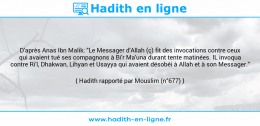 Une image avec le hadith : D'après Anas Ibn Malik: "Le Messager d'Allah (ç) fit des invocations contre ceux qui avaient tué ses compagnons à Bi'r Ma'una durant tente matinées. IL invoqua contre Ri'l, Dhakwan, Lihyan et Usayya qui avaient désobéi à Allah et à son Messager." Hadith rapporté par Mouslim (n°677)