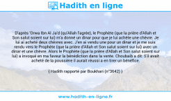 Une image avec le hadith : D'après 'Orwa Ibn Al Ja'd (qu'Allah l'agrée), le Prophète (que la prière d'Allah et Son salut soient sur lui) m'a donné un dinar pour que je lui achète une chèvre. Je lui ai acheté deux chèvres avec. J'en ai vendu une pour un dinar et je me suis rendu vers le Prophète (que la prière d'Allah et Son salut soient sur lui) avec un dinar et une chèvre. Alors le Prophète (que la prière d'Allah et Son salut soient sur lui) a invoqué en ma faveur la bénédiction dans la vente. Choubaib a dit: S'il avait acheté de la poussière il aurait réussi a en tirer un bénéfice. Hadith rapporté par Boukhari (n°3642)