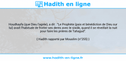 Une image avec le hadith : Houdhayfa (que Dieu l'agrée), a dit : "Le Prophète (paix et bénédiction de Dieu sur lui) avait l'habitude de frotter ses dents avec le siwâk, quand il se réveillait la nuit pour faire les prières de Tahajjud". Hadith rapporté par Mouslim (n°255)