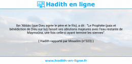 Une image avec le hadith : Ibn 'Abbâs (que Dieu agrée le père et le fils), a dit : "Le Prophète (paix et bénédiction de Dieu sur lui) faisait ses ablutions majeures avec l'eau restante de Maymoûna, une fois celle-ci ayant terminé les siennes". Hadith rapporté par Mouslim (n°323)