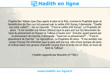 Une image avec le hadith : D'après Ibn 'Abbâs (que Dieu agrée le père et le fils), comme le Prophète (paix et bénédiction de Dieu sur lui) passait par la vallée d'Al-'Azraq, il demanda : "Quelle est cette vallée?". - On lui répondit : "C'est la vallée d'Al-'Azraq". Le Prophète dit alors : "Il me semble voir Moïse (Mûsa) (que la paix soit sur lui) descendre du haut du plissement en faisant la Talbiya à haute voix". Ensuite, ayant passé par le plissement de Harchâ, il demanda : "Quel est ce plissement?". - "C'est le plissement de Harchâ ", lui répondit-on. Le Prophète dit alors : "Il me semble voir Jonas (Yûnus) fils d'Amittaï (que la paix soit sur lui), vêtu d'une tunique de laine et enfourchant une grosse chamelle rousse dont la bride est en fibre, en train de faire la Talbiya". Hadith rapporté par Mouslim (n°166)