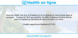 Une image avec le hadith : 'Anas ben Mâlik: Une fois, le Prophète (ç) vit un Bédouin en train d'uriner dans la mosquée... "Laissez-le!" dit-il aux présents. En effet, le Bédouin termina d'uriner puis le Prophète (ç) demanda de l'eau et la versa sur l'urine. Hadith rapporté par Boukhari (n°219)