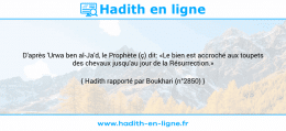 Une image avec le hadith : D'après 'Urwa ben al-Ja'd, le Prophète (ç) dit: «Le bien est accroché aux toupets des chevaux jusqu'au jour de la Résurrection.» Hadith rapporté par Boukhari (n°2850)