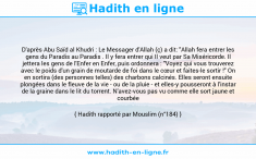 Une image avec le hadith : D'après Abu Saïd al Khudri : Le Messager d'Allah (ç) a dit: "Allah fera entrer les gens du Paradis au Paradis . Il y fera entrer qui Il veut par Sa Miséricorde. Il jettera les gens de l'Enfer en Enfer, puis ordonnera : "Voyez qui vous trouverez avec le poids d'un grain de moutarde de foi dans le cœur et faites-le sortir !" On en sortira (des personnes telles) des charbons calcinés. Elles seront ensuite plongées dans le fleuve de la vie - ou de la pluie - et elles-y pousseront à l'instar de la graine dans le lit du torrent. N'avez-vous pas vu comme elle sort jaune et courbée ?" Hadith rapporté par Mouslim (n°184)