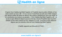 Une image avec le hadith : D'après Oum Habiba (qu'Allah l'agrée), le Prophète (que la prière d'Allah et Son salut soient sur lui) a dit: « Il n'y a aucun musulman qui prie pour Allah chaque jour douze unités de prière en dehors des prières obligatoires sans que Allah ne lui construise une maison au paradis ». Oum Habiba (qu'Allah l'agrée) a dit : Je ne les ai pas délaissé depuis que j'ai entendu cela du Prophète (que la prière d'Allah et Son salut soient sur lui). Anbasa (*) a dit : Je ne les ai pas délaissé depuis que j'ai entendu cela de Oum Habiba (qu'Allah l'agrée). Hadith rapporté par Mouslim (n°728)