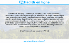 Une image avec le hadith : D'après Abu Hurayra : Le Messager d'Allah (ç) a dit: "Quand le serviteur musulman - ou croyant - fait ses ablutions, puis se lave le visage, tout péché que ses yeux ont commis par le regard quittera son visage avec l'eau - ou avec la dernière goutte d'eau. Quand il se lave les mains, tout péché que ses mains ont perpétré s'écoulera de celles-ci en même temps que l'eau - ou - avec la dernière goutte d'eau; Quand il se lave les pieds, tout péché auquel ses pieds l'ont conduit s'écoulera avec en même temps que l'eau - ou - avec la dernière goutte d'eau - jusqu'à ce qu'il soit purifié de tout péché ". Hadith rapporté par Mouslim (n°244)