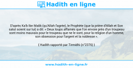 Une image avec le hadith : D'après Ka'b Ibn Malik (qu'Allah l'agrée), le Prophète (que la prière d'Allah et Son salut soient sur lui) a dit: « Deux loups affamés que l'on envoie près d'un troupeau sont moins mauvais pour le troupeau que ne le sont, pour la religion d'un homme, son obsession pour l'argent et la noblesse ». Hadith rapporté par Tirmidhi (n°2376)