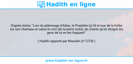 Une image avec le hadith : D'après Aisha: "Lors du pèlerinage d'Adieu, le Prophète (ç) fit le tour de la Ka'ba sur son chameau et salua le coin (de la pierre noire), de crainte qu'on éloigne les gens de lui en les frappant". Hadith rapporté par Mouslim (n°1274)