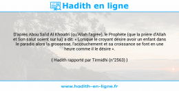 Une image avec le hadith : D'après Abou Sa'id Al Khoudri (qu'Allah l'agrée), le Prophète (que la prière d'Allah et Son salut soient sur lui) a dit: « Lorsque le croyant désire avoir un enfant dans le paradis alors la grossesse, l'accouchement et sa croissance se font en une heure comme il le désire ». Hadith rapporté par Tirmidhi (n°2563)