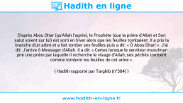 Une image avec le hadith : D'après Abou Dhar (qu'Allah l'agrée), le Prophète (que la prière d'Allah et Son salut soient sur lui) est sorti en hiver alors que les feuilles tombaient. Il a pris la branche d'un arbre et a fait tomber ses feuilles puis a dit: « Ô Abou Dhar! ». J'ai dit: J'arrive ô Messager d'Allah. Il a dit: « Certes lorsque le serviteur musulman prie une prière par laquelle il recherche le visage d'Allah, ses péchés tombent comme tombent les feuilles de cet arbre ». Hadith rapporté par Targhib (n°384)