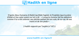Une image avec le hadith : D'après Abou Oumama Al Bahili (qu'Allah l'agrée), le Prophète (que la prière d'Allah et Son salut soient sur lui) a dit : « Lorsqu'un homme fait les ablutions comme il lui a été ordonné, ses péchés partent de son ouïe, de sa vue, de ses mains et de ses pieds ». Hadith rapporté par Targhib (n°187)