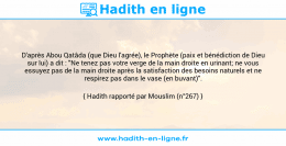 Une image avec le hadith : D'après Abou Qatâda (que Dieu l'agrée), le Prophète (paix et bénédiction de Dieu sur lui) a dit : "Ne tenez pas votre verge de la main droite en urinant; ne vous essuyez pas de la main droite après la satisfaction des besoins naturels et ne respirez pas dans le vase (en buvant)". Hadith rapporté par Mouslim (n°267)