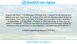 Une image avec le hadith : D’après Abu Dharr : « Le Messager d’Allah(ç) a dit : « Quand l’un de vous se tient debout pour prier l’équivalent de l’arrière d’une selle de chameau placé devant lui le protégera. Sinon l’âne, la femme, et le chien noir pourraient rompre sa prière. » Je demandais : « Ô Abu Dharr : Pourquoi le chien noir et pas le chien roux ou jaune ? » Il répondit : « Ô fils de mon frère j’ai questionné le Messager d’Allah (ç) comme tu m’as questionné il a alors répondu : « Le chien noir est un démon ». Hadith rapporté par Mouslim (n°510)