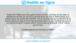 Une image avec le hadith : D'après Ibn 'Abbâs (que Dieu agrée le père et le fils), L'Envoyé de Dieu (paix et bénédiction de Dieu sur lui) fit la prière de zhuhr (de midi) à Dhûl-Hulayfa, puis ordonna qu'on lui amène une chamelle. Il lui fit une saignée sur le côté droit de sa bosse, essuya le sang et lui mit une guirlande autour du cou. Il enfourcha ensuite sa monture et partit. Lorsque celle-ci l'amena près de Al-Baydâ', il fit la Talbiya pour le Hajj. Hadith rapporté par Mouslim (n°1243)