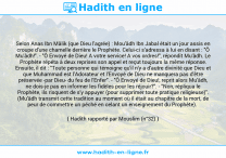 Une image avec le hadith : Selon Anas Ibn Mâlik (que Dieu l'agrée) : Mou'âdh Ibn Jabal était un jour assis en croupe d'une chamelle derrière le Prophète. Celui-ci s'adressa à lui en disant : "Ô Mu'âdh!". - "Ô Envoyé de Dieu! A votre service! A vos ordres!", répondit Mu'âdh. Le Prophète répéta à deux reprises son appel et reçut toujours la même réponse. Ensuite, il dit : "Toute personne qui témoigne qu'il n'y a d'autre divinité que Dieu et que Muhammad est l'Adorateur et l'Envoyé de Dieu ne manquera pas d'être préservée -par Dieu- du feu de l'Enfer". - "Ô Envoyé de Dieu!, reprit alors Mu'âdh, ne dois-je pas en informer les fidèles pour les réjouir?". - "Non, répliqua le Prophète, ils risquent de s'y appuyer (pour supprimer toute pratique religieuse)". (Mu'âdh transmit cette tradition au moment où il était au chapitre de la mort, de peur de commettre un péché en celant un enseignement du Prophète). Hadith rapporté par Mouslim (n°32)