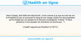 Une image avec le hadith : Selon Chaqîq, 'Abd Allâh ben Mas'ûd dit: «C'est comme si je suis en train de voir le Prophète (ç) qui, en essuyant le sang de son visage, imitait l'un des prophètes qui fut frappé par son peuple en le laissant ensanglanté. Il disait: "O Dieu! pardonne à mon peuple! ces membres ne savent pas..."» Hadith rapporté par Boukhari (n°3477)