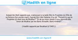 Une image avec le hadith : Kulayb Ibn Waîl rapporte que, s'adressant à la belle fille du Prophète (ç) (fille de sa femme d'un ancien mari), Zaynab Bint Abû Salama, il lui dit: "Penses-tu que le Prophète (ç) était issu de Mudhar?" "Et de qui donc serait-il issu, répondit-elle, sinon de Mudhar par les Banû Annadhr, Banû Kinâna?" Hadith rapporté par Boukhari (n°3491)