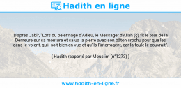 Une image avec le hadith : D'après Jabir, "Lors du pèlerinage d'Adieu, le Messager d'Allah (ç) fit le tour de la Demeure sur sa monture et salua la pierre avec son bâton crochu pour que les gens le voient, qu'il soit bien en vue et qu'ils l'interrogent, car la foule le couvrait". Hadith rapporté par Mouslim (n°1273)