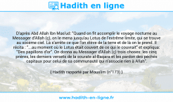 Une image avec le hadith : D'après Abd Allah Ibn Mas'ud: "Quand on fit accomplir le voyage nocturne au Messager d'Allah (ç), on le mena jusqu'au Lotus de l'extrême limite, qui se trouve au sixième ciel. Là s'arrête ce que l'on élève de la terre et de là on le prend. Il récita : "...au moment où le Lotus était couvert de ce qui le couvrait" et expliqua: "Des papillons d'or". On donna au Messager d'Allah (ç) trois choses: les cinq prières, les derniers versets de la sourate al-Baqara et les pardon des péchés capitaux pour celui de sa communauté qui n'associe rien à Allah". Hadith rapporté par Mouslim (n°173)